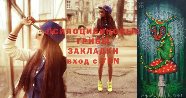 mix Бородино
