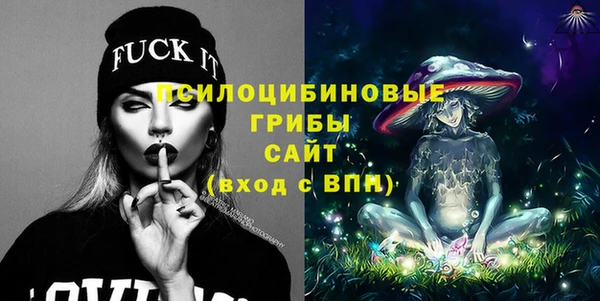 mix Бородино