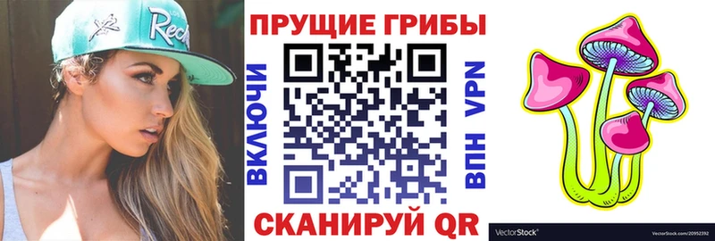 купить   Ростов  Псилоцибиновые грибы мухоморы 